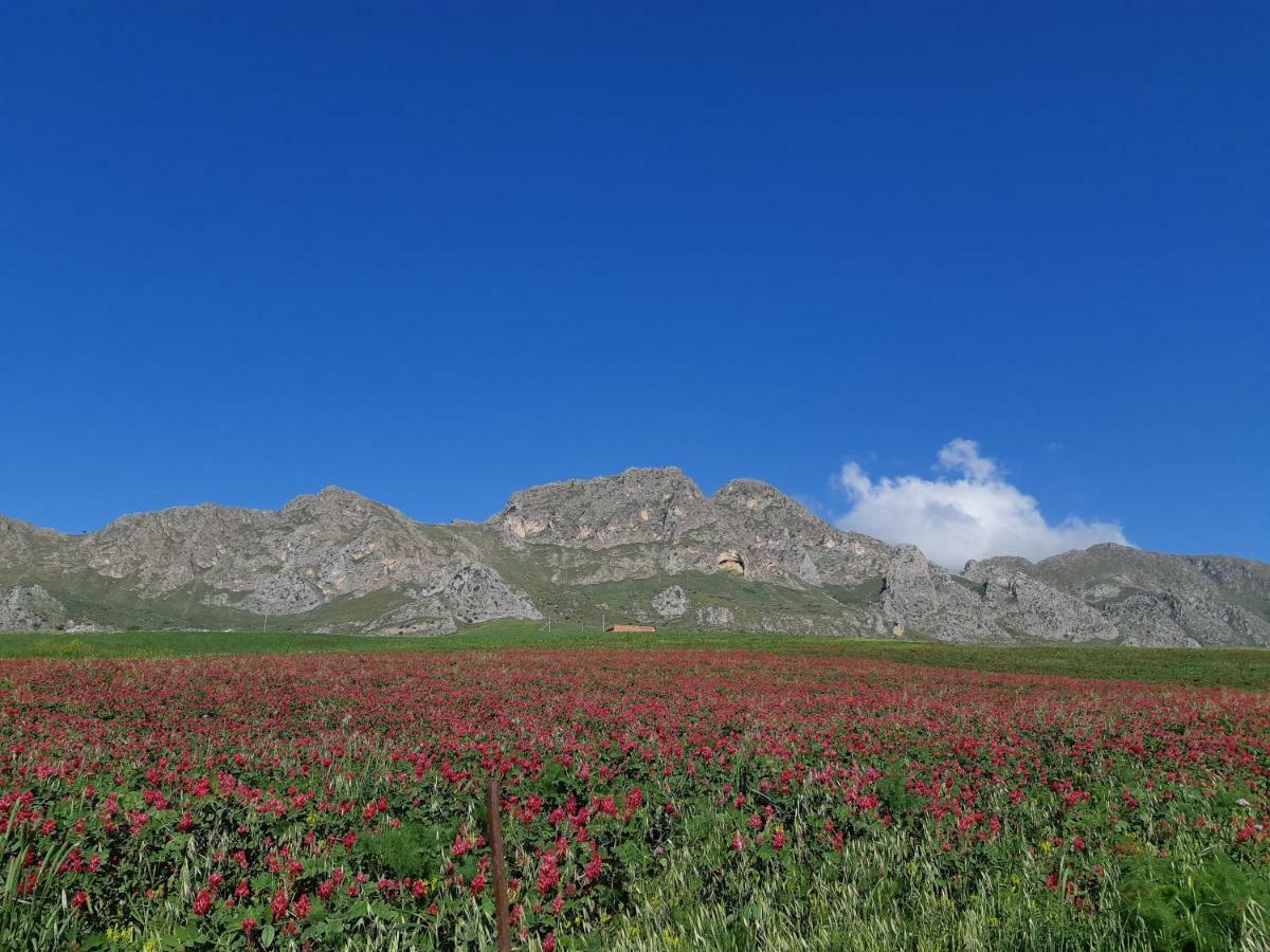 Crapa Licca Villa Ventimiglia di Sicilia Eksteriør billede