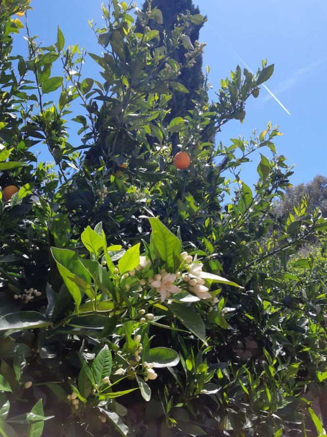 Crapa Licca Villa Ventimiglia di Sicilia Eksteriør billede
